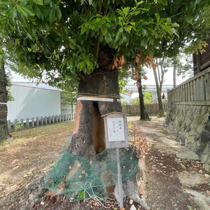 白山神社(松河戸町)(愛知県)