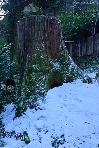 貴船神社結社(京都府)