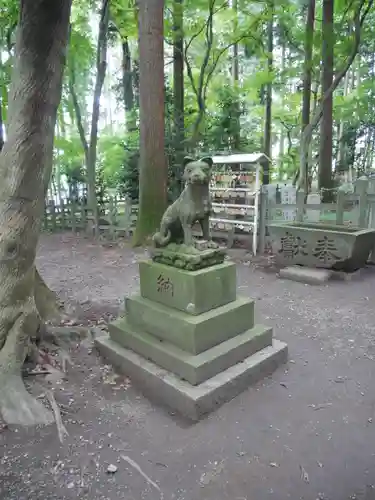 宝登山神社奥宮の狛犬