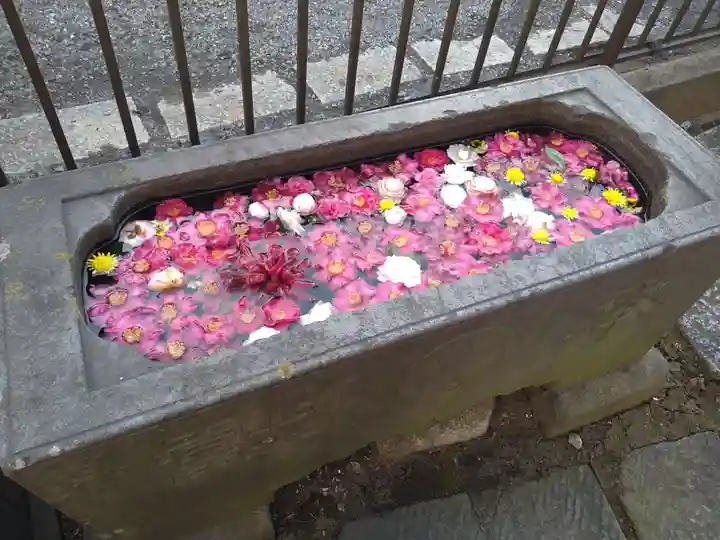 安行吉岡氷川神社の手水舎