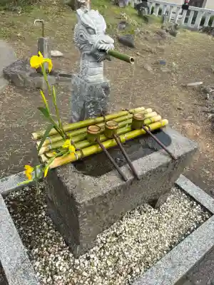 行興寺の{uncategorized: "未分類", other: "その他", undefined: "問題あり", building: "その他建物", grave: "お墓", sacred_gate: "鳥居", guardian: "狛犬", statue: "像", buddha: "仏像", history: "歴史", nature: "自然", garden: "庭園", animal: "動物", pagoda: "塔", temizu: "手水舎", mountain_gate: "山門・神門", sanctuary: "本殿・本堂", subordinate: "末社・摂社", art: "芸術", scenery: "景色", jizo: "地蔵", ema: "絵馬", goshuin: "御朱印", omikuji: "おみくじ", items: "授与品その他", amulet: "お守り", goshuincho: "御朱印帳", eats: "食事", festival: "お祭り", votive_dance: "神楽", shichigosan: "七五三参", wedding: "結婚式", experience: "体験その他", initially: "初詣", around: "周辺", anti_infection: "感染症対策"}