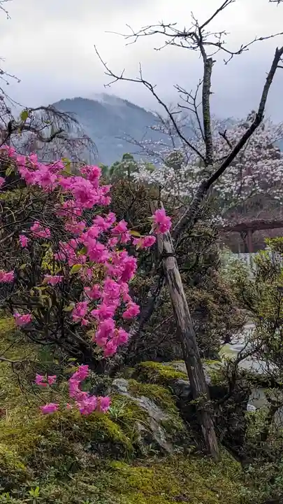 正法寺(京都府)
