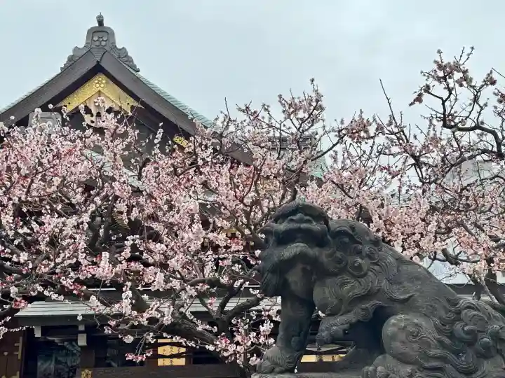 湯島天満宮の{uncategorized: "未分類", other: "その他", undefined: "問題あり", building: "その他建物", grave: "お墓", sacred_gate: "鳥居", guardian: "狛犬", statue: "像", buddha: "仏像", history: "歴史", nature: "自然", garden: "庭園", animal: "動物", pagoda: "塔", temizu: "手水舎", mountain_gate: "山門・神門", sanctuary: "本殿・本堂", subordinate: "末社・摂社", art: "芸術", scenery: "景色", jizo: "地蔵", ema: "絵馬", goshuin: "御朱印", omikuji: "おみくじ", items: "授与品その他", amulet: "お守り", goshuincho: "御朱印帳", eats: "食事", festival: "お祭り", votive_dance: "神楽", shichigosan: "七五三参", wedding: "結婚式", experience: "体験その他", initially: "初詣", around: "周辺", anti_infection: "感染症対策"}