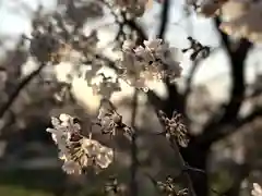 如法寺(長野県)