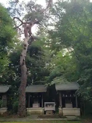 下高井戸八幡神社(東京都)