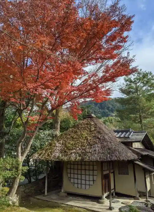 高台寺(高台寿聖禅寺・高臺寺)(京都府)