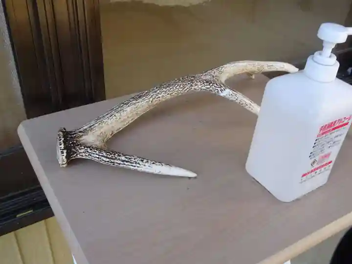 伊勢原 法泉寺のその他建物