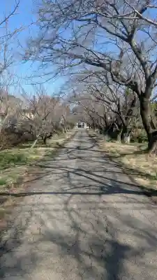 八幡宮の{uncategorized: "未分類", other: "その他", undefined: "問題あり", building: "その他建物", grave: "お墓", sacred_gate: "鳥居", guardian: "狛犬", statue: "像", buddha: "仏像", history: "歴史", nature: "自然", garden: "庭園", animal: "動物", pagoda: "塔", temizu: "手水舎", mountain_gate: "山門・神門", sanctuary: "本殿・本堂", subordinate: "末社・摂社", art: "芸術", scenery: "景色", jizo: "地蔵", ema: "絵馬", goshuin: "御朱印", omikuji: "おみくじ", items: "授与品その他", amulet: "お守り", goshuincho: "御朱印帳", eats: "食事", festival: "お祭り", votive_dance: "神楽", shichigosan: "七五三参", wedding: "結婚式", experience: "体験その他", initially: "初詣", around: "周辺", anti_infection: "感染症対策"}