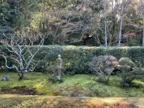 桂春院(京都府)