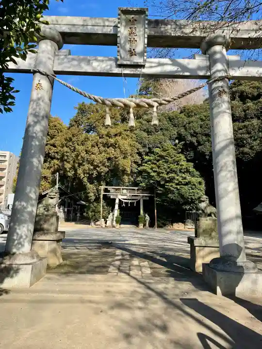 白髭神社の{uncategorized: "未分類", other: "その他", undefined: "問題あり", building: "その他建物", grave: "お墓", sacred_gate: "鳥居", guardian: "狛犬", statue: "像", buddha: "仏像", history: "歴史", nature: "自然", garden: "庭園", animal: "動物", pagoda: "塔", temizu: "手水舎", mountain_gate: "山門・神門", sanctuary: "本殿・本堂", subordinate: "末社・摂社", art: "芸術", scenery: "景色", jizo: "地蔵", ema: "絵馬", goshuin: "御朱印", omikuji: "おみくじ", items: "授与品その他", amulet: "お守り", goshuincho: "御朱印帳", eats: "食事", festival: "お祭り", votive_dance: "神楽", shichigosan: "七五三参", wedding: "結婚式", experience: "体験その他", initially: "初詣", around: "周辺", anti_infection: "感染症対策"}