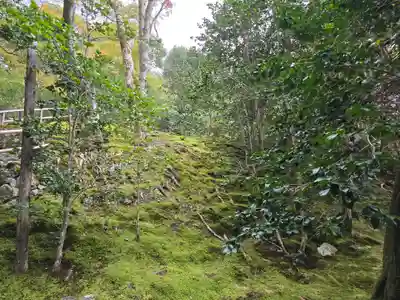 霊鑑寺門跡(京都府)