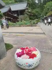 岡寺（龍蓋寺）(奈良県)