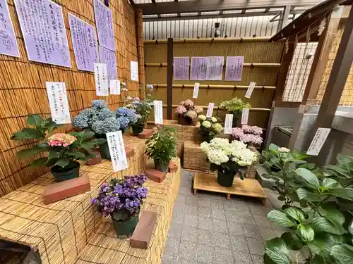 十番稲荷神社(東京都)