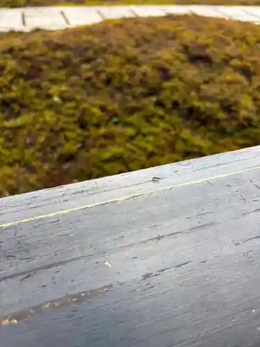 西来院(京都府)