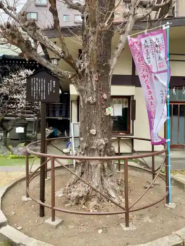 千束稲荷神社の{uncategorized: "未分類", other: "その他", undefined: "問題あり", building: "その他建物", grave: "お墓", sacred_gate: "鳥居", guardian: "狛犬", statue: "像", buddha: "仏像", history: "歴史", nature: "自然", garden: "庭園", animal: "動物", pagoda: "塔", temizu: "手水舎", mountain_gate: "山門・神門", sanctuary: "本殿・本堂", subordinate: "末社・摂社", art: "芸術", scenery: "景色", jizo: "地蔵", ema: "絵馬", goshuin: "御朱印", omikuji: "おみくじ", items: "授与品その他", amulet: "お守り", goshuincho: "御朱印帳", eats: "食事", festival: "お祭り", votive_dance: "神楽", shichigosan: "七五三参", wedding: "結婚式", experience: "体験その他", initially: "初詣", around: "周辺", anti_infection: "感染症対策"}