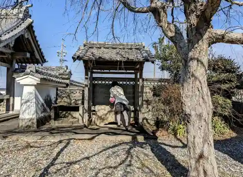 蔭凉寺の手水舎