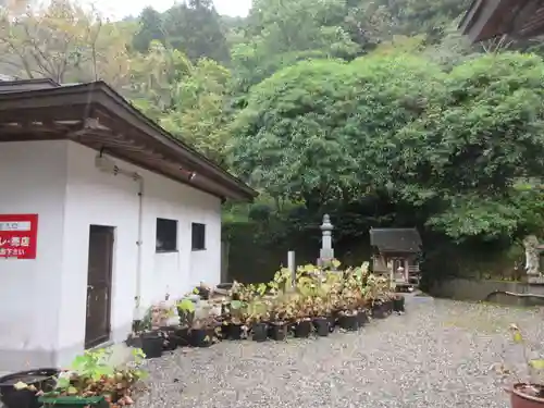 岩本寺(高知県)