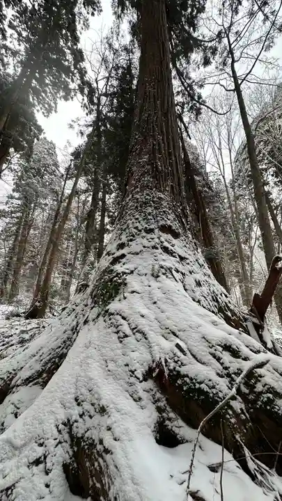 戸隠神社九頭龍社(長野県)