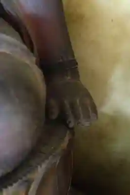 宗堅寺(京都府)