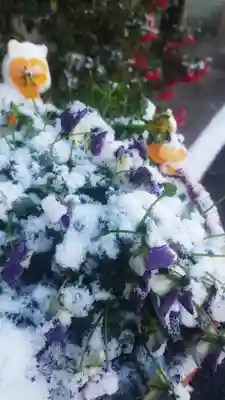 若宮神明社(愛知県)