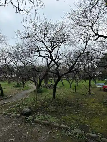 谷保天満宮(東京都)