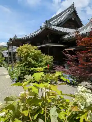 釜滝薬師金剛寺(和歌山県)