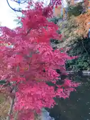 武蔵一宮氷川神社(埼玉県)