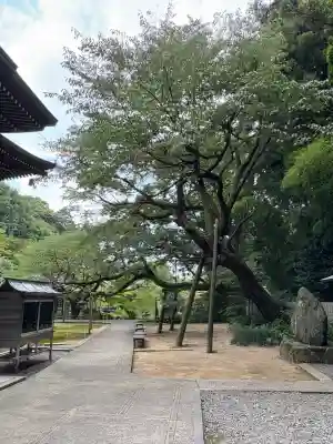 三角寺(愛媛県)