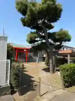 上野森稲荷神社の{uncategorized: "未分類", other: "その他", undefined: "問題あり", building: "その他建物", grave: "お墓", sacred_gate: "鳥居", guardian: "狛犬", statue: "像", buddha: "仏像", history: "歴史", nature: "自然", garden: "庭園", animal: "動物", pagoda: "塔", temizu: "手水舎", mountain_gate: "山門・神門", sanctuary: "本殿・本堂", subordinate: "末社・摂社", art: "芸術", scenery: "景色", jizo: "地蔵", ema: "絵馬", goshuin: "御朱印", omikuji: "おみくじ", items: "授与品その他", amulet: "お守り", goshuincho: "御朱印帳", eats: "食事", festival: "お祭り", votive_dance: "神楽", shichigosan: "七五三参", wedding: "結婚式", experience: "体験その他", initially: "初詣", around: "周辺", anti_infection: "感染症対策"}