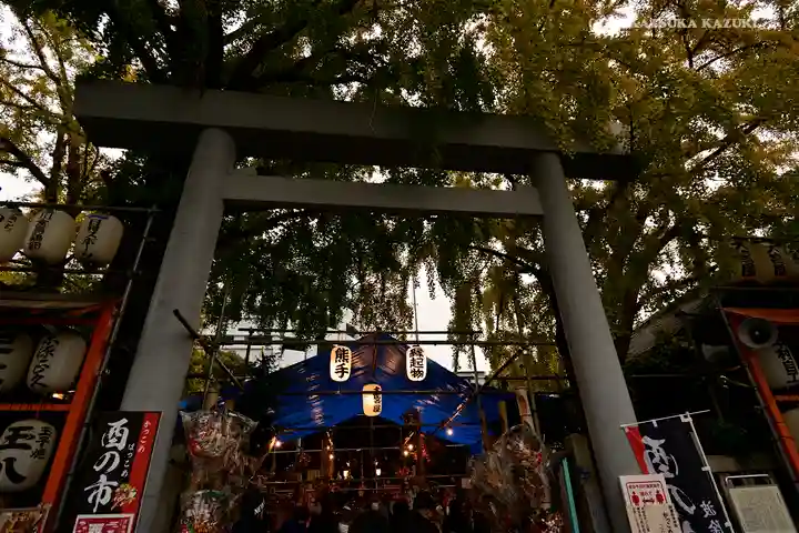波除神社(波除稲荷神社)の鳥居