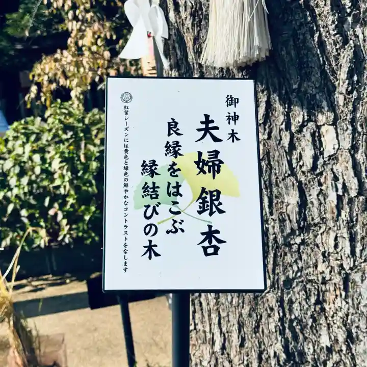 川越八幡宮(埼玉県)