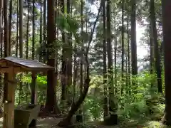 琴平神社の自然