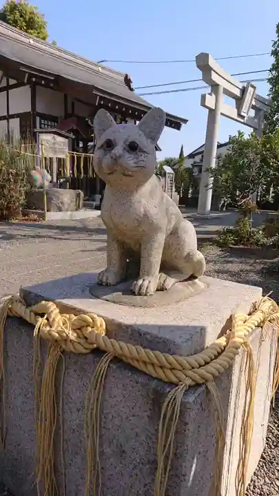 阿豆佐味天神社 立川水天宮の狛犬