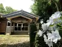伊比井神社の本殿・本堂