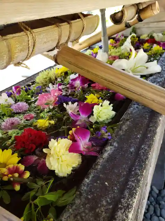 鳩森八幡神社の手水舎