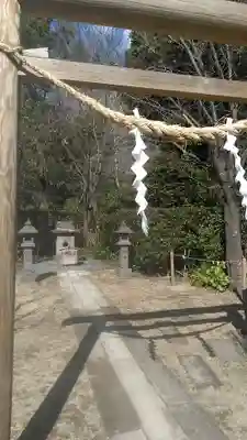 猫神社(鹿児島県)