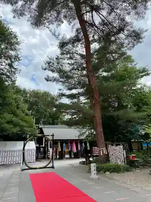櫻木神社(千葉県)