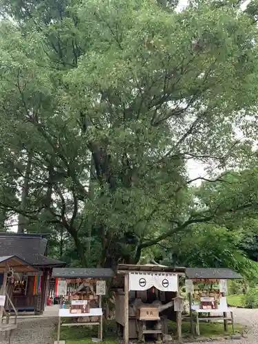 都農神社のその他建物