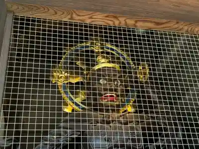 妻沼聖天山歓喜院(埼玉県)