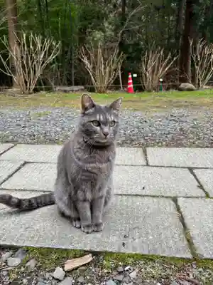 鷲子山上神社(栃木県)