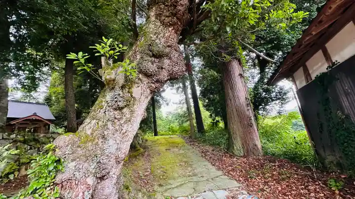 河上三神社(京都府)