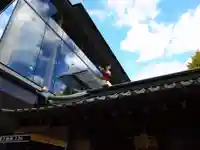 神田神社(神田明神)のその他建物