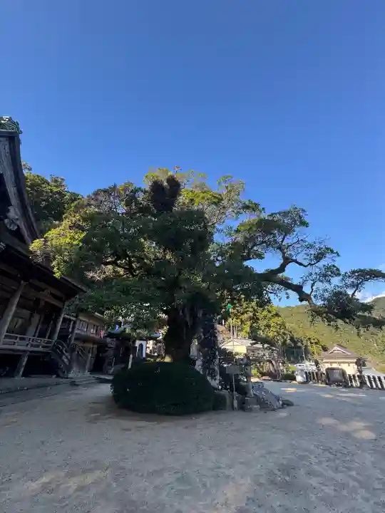 青岸渡寺(和歌山県)