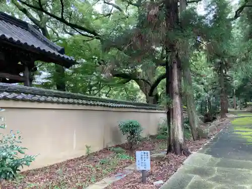 花園天皇　十樂院上陵(京都府)