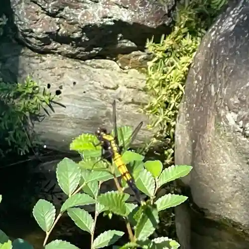 若宮神明社(愛知県)