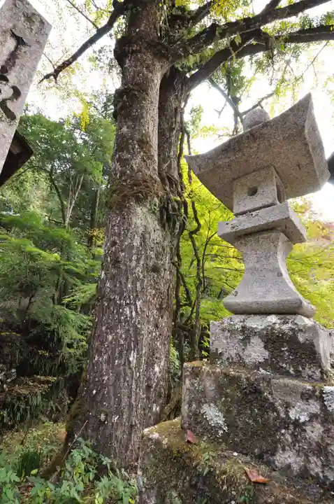 天神社(愛媛県)