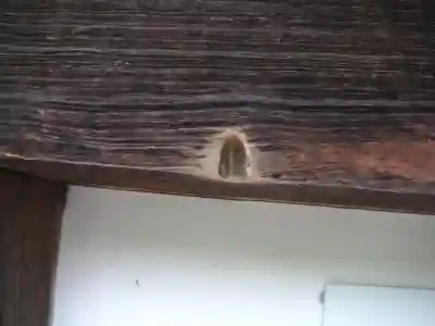 根来寺のその他建物