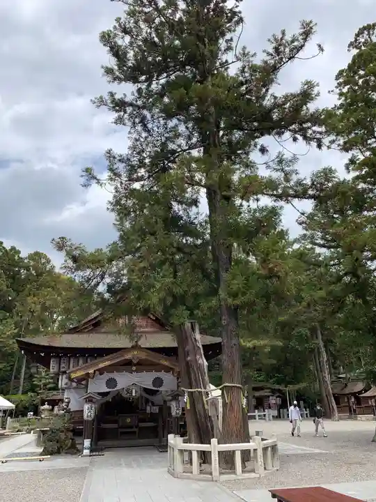 建部大社の本殿・本堂