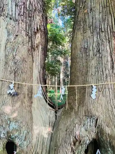 日吉神社(千葉県)
