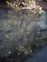 若雷神社(神奈川県)